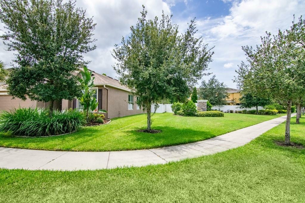 Property Photo:  8621 Deep Maple Drive  FL 33578 