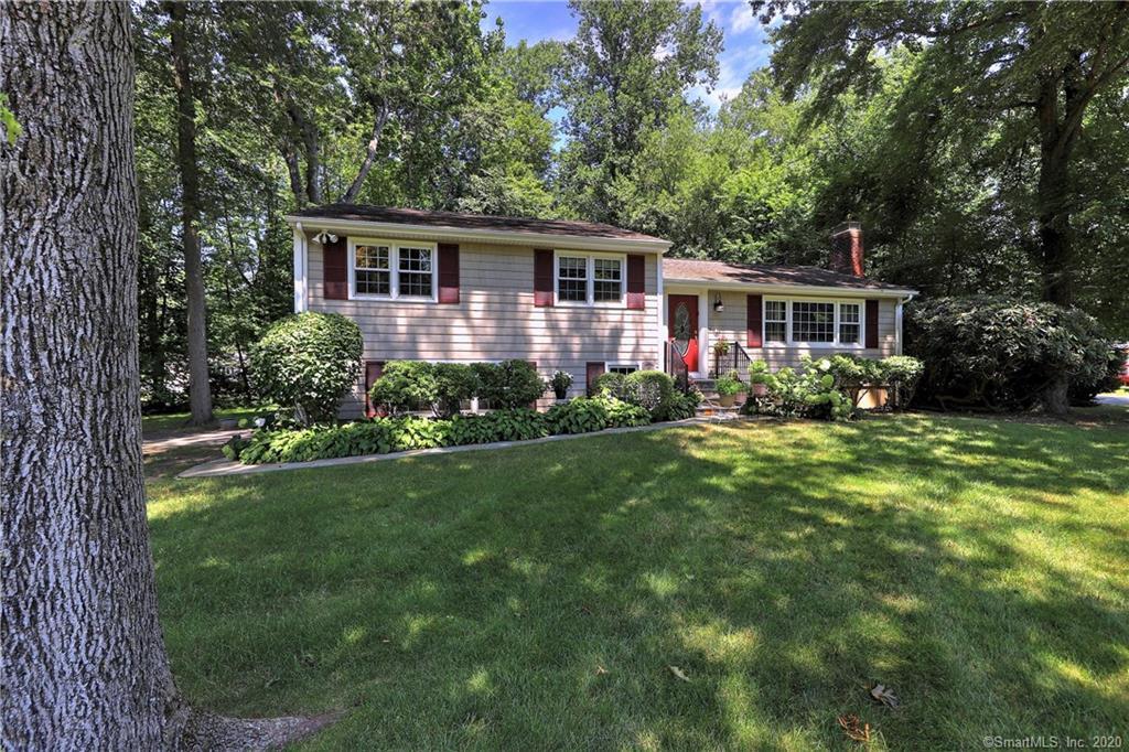 Property Photo:  397 Pine Tree Drive  CT 06477 