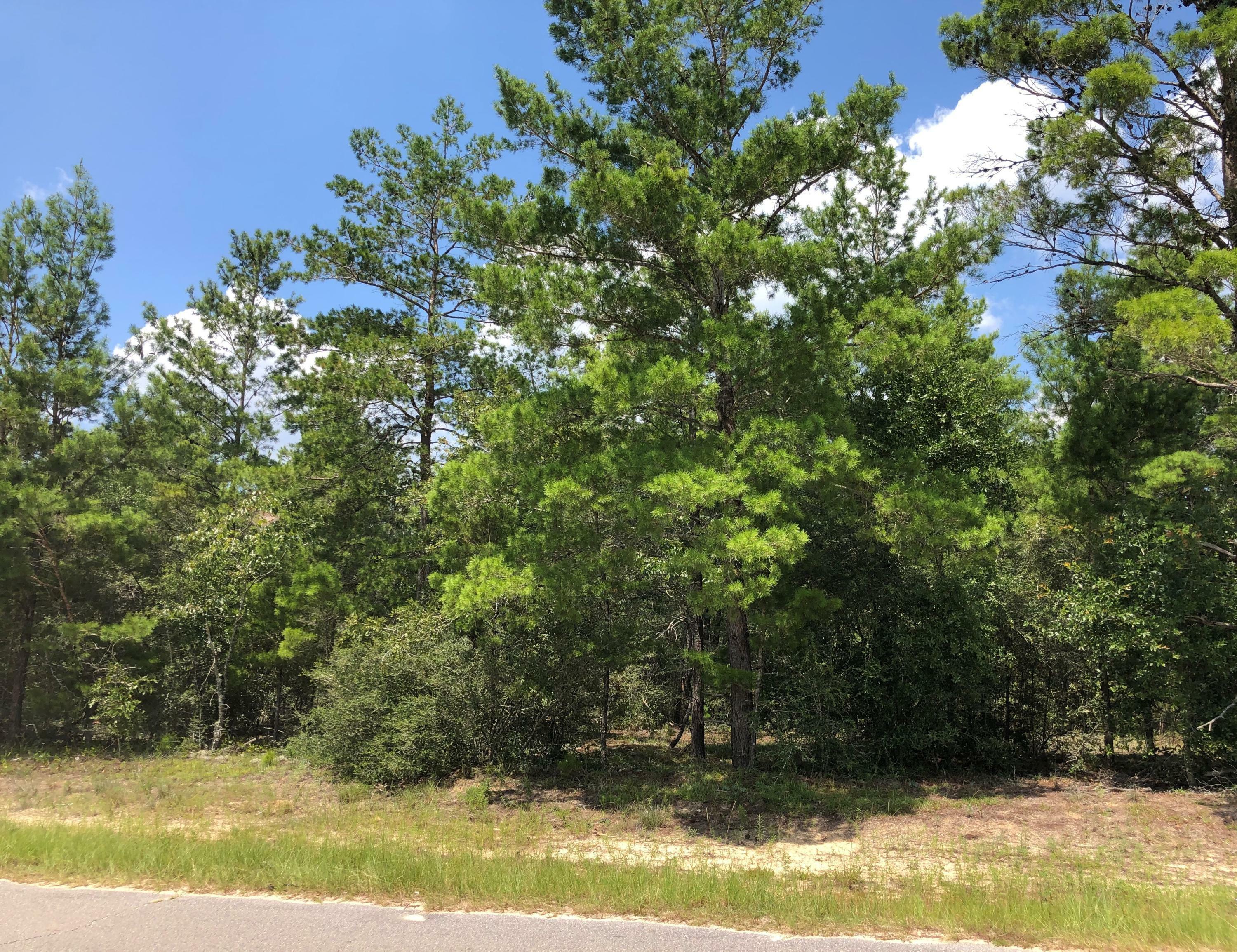 Property Photo:  Lot 20 Oakridge Road  FL 32433 