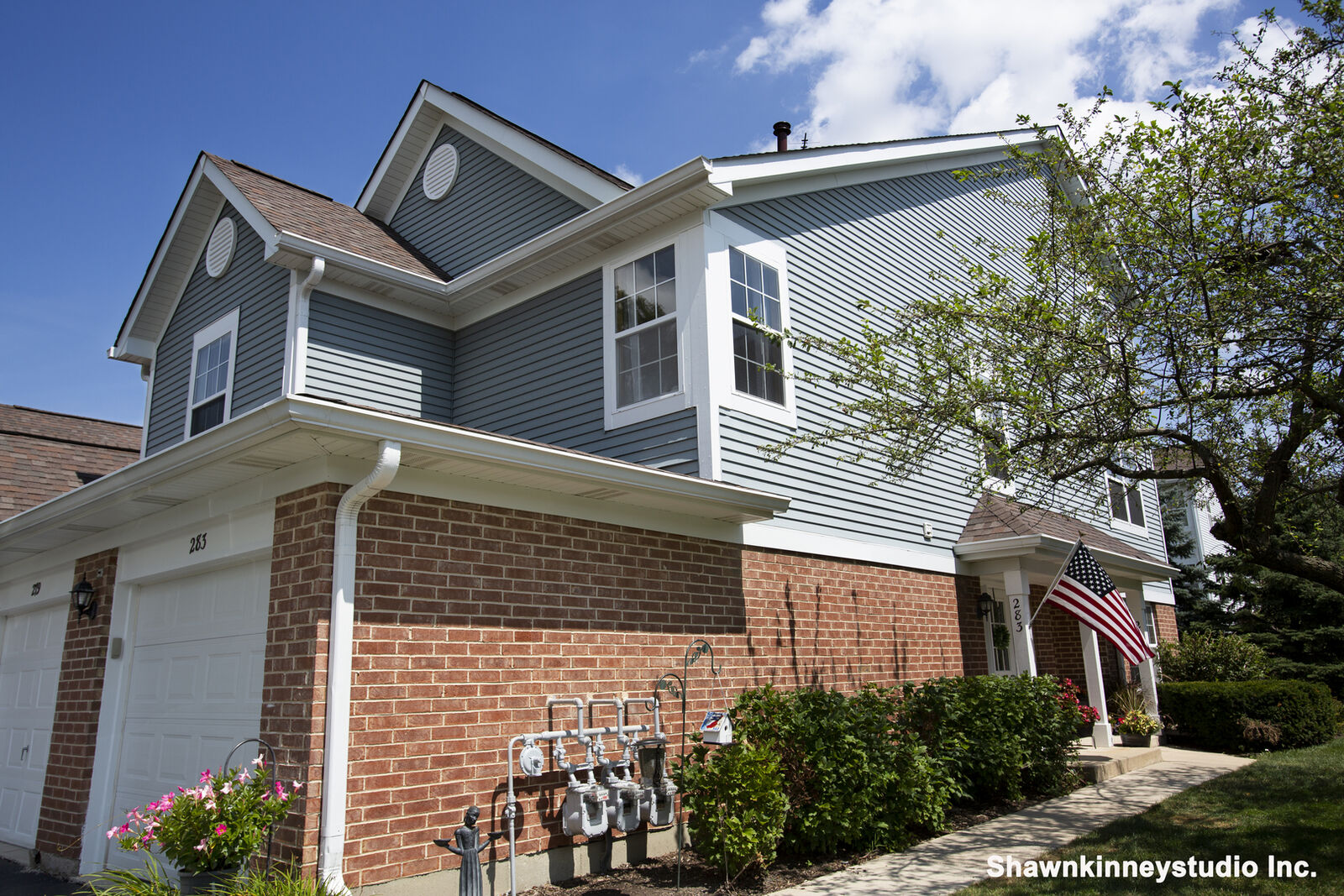 Property Photo:  283 Ashbury Lane West  IL 60172 