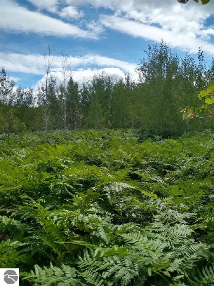 Property Photo: 00 30 1/4 Road MI 49618