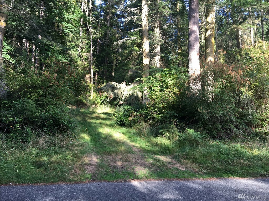 Property Photo:  Xxx Basswood Rd  WA 98249 