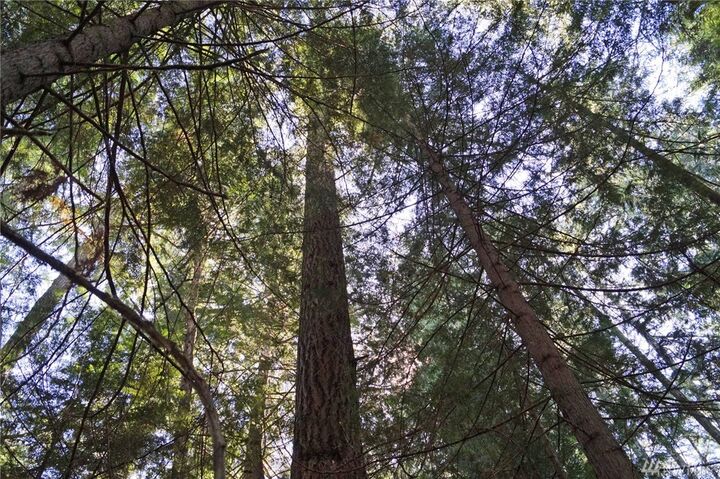 Property Photo:  8190 SE Lynch Rd  WA 98584 