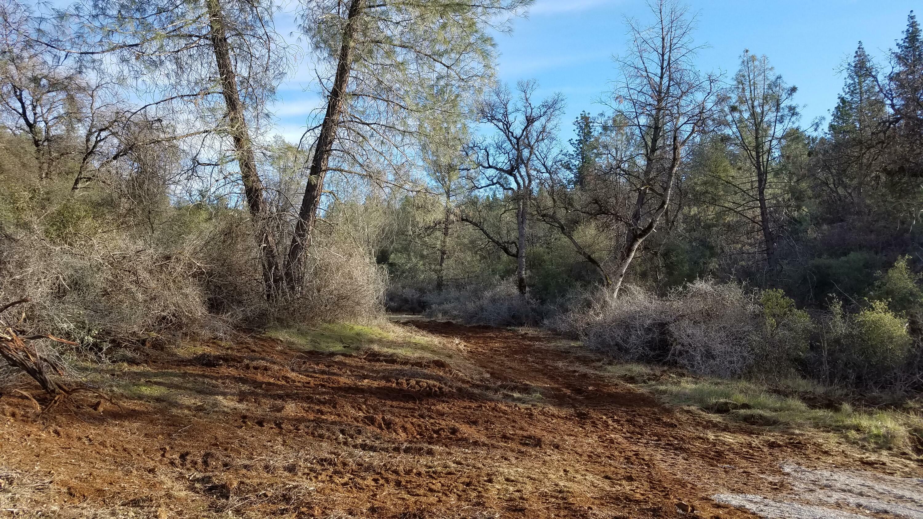 Property Photo:  Lot 11 Whippoorwill  CA 96088 