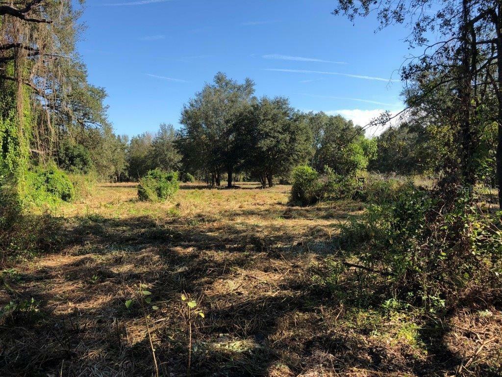 Property Photo:  14621 Salem Church Road  FL 33527 