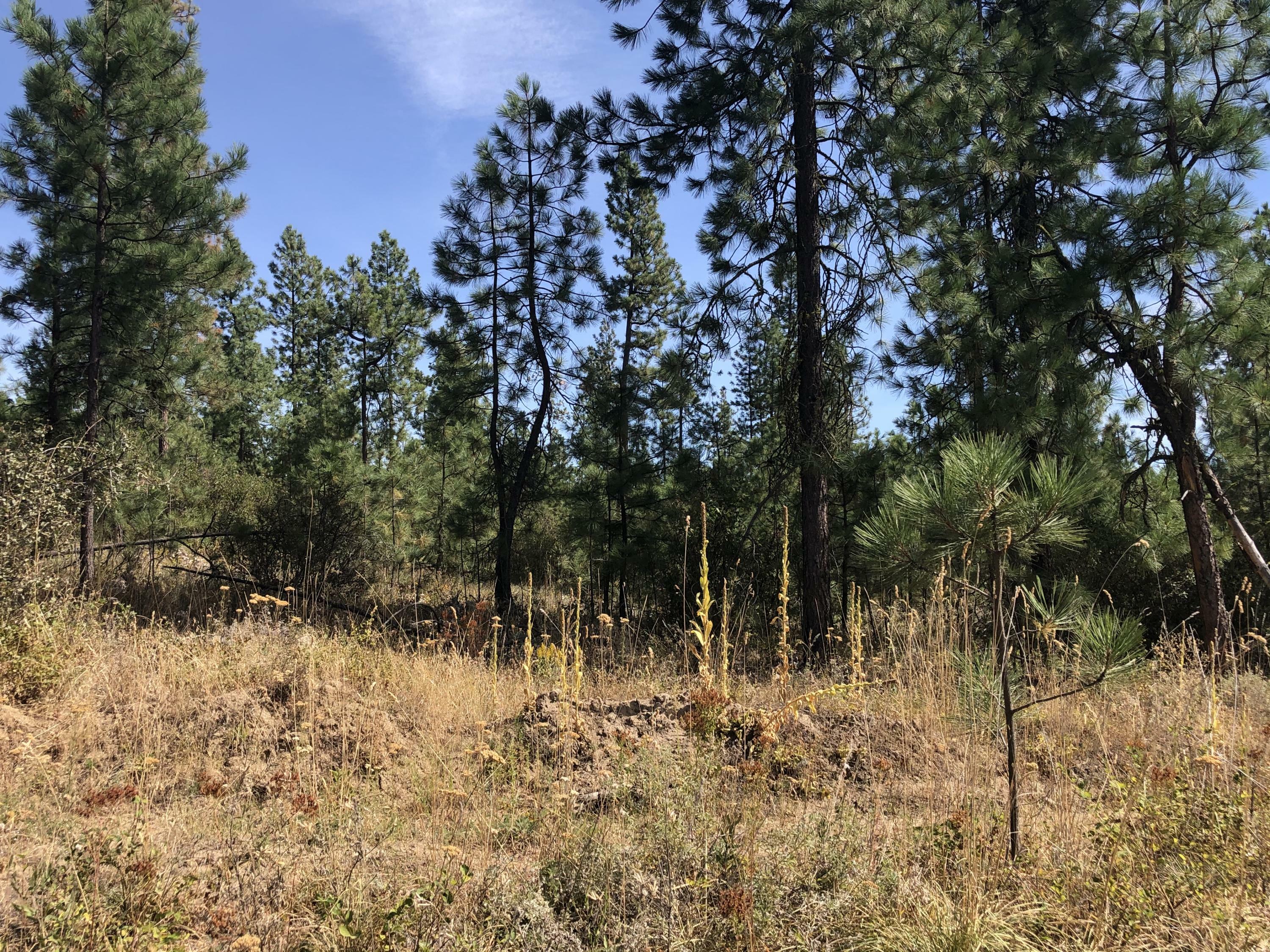 Tbd Castle Rock Creek Rd (Lot 2)  Fruitland WA 99129 photo