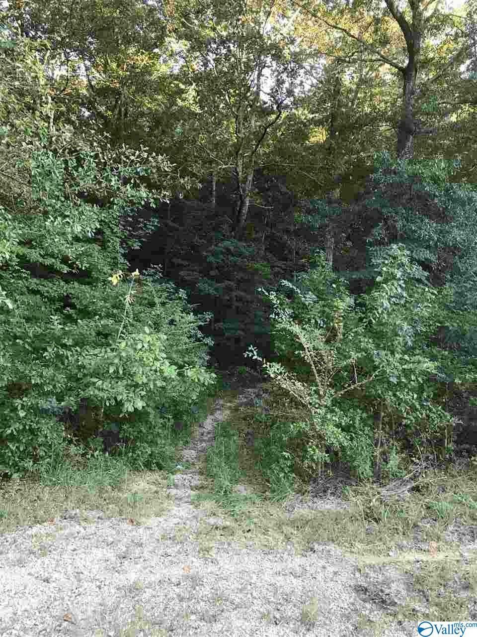 Property Photo:  Lot 30 County Road 279  AL 35650 