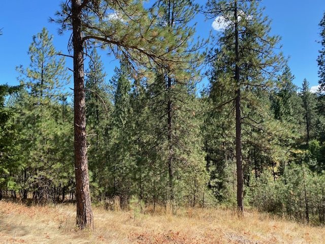 Property Photo: 000 Gill Ln WA 99173