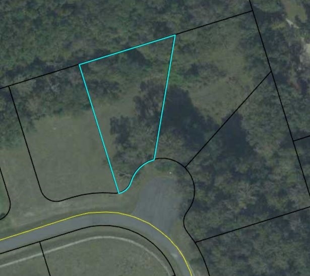 Property Photo:  Lot 41A Tillis Lane -  FL 32327 