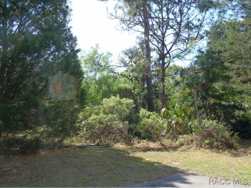 7655 W Candlewick Lane  Homosassa FL 34448 photo