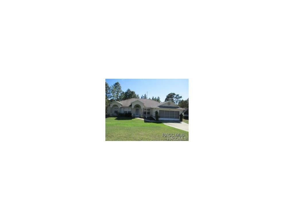 4239 W Dorchester Circle  Citrus Springs FL 34433 photo