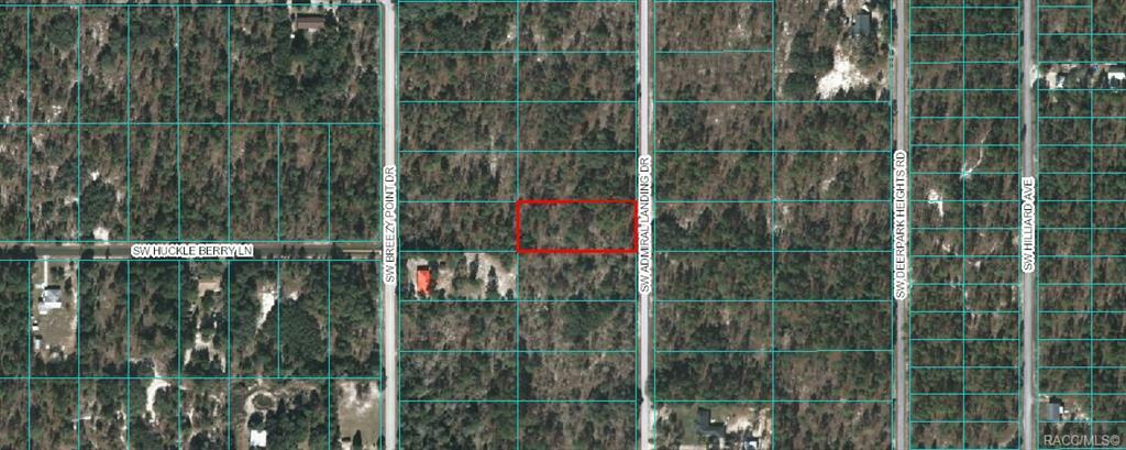 Property Photo:  Lot 11 SW Admiral Landing Drive  FL 34431 