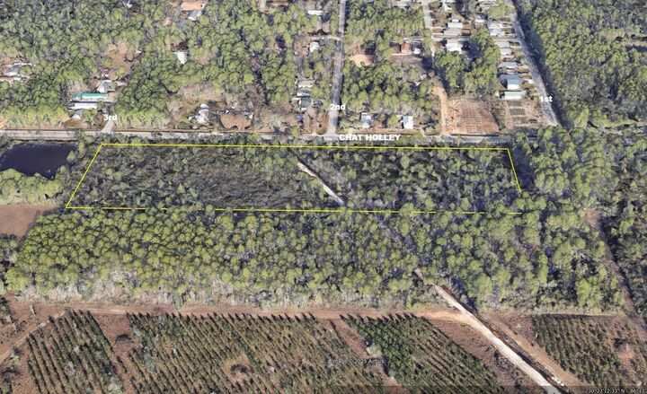 Xx Chat Holley Road  Santa Rosa Beach FL 32459 photo
