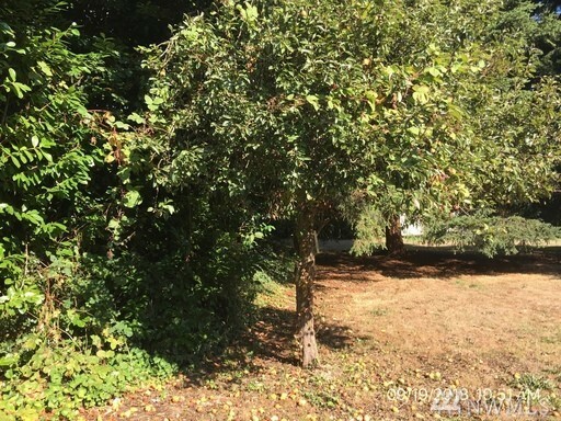 Property Photo:  514 SW 317th Place  WA 98023 