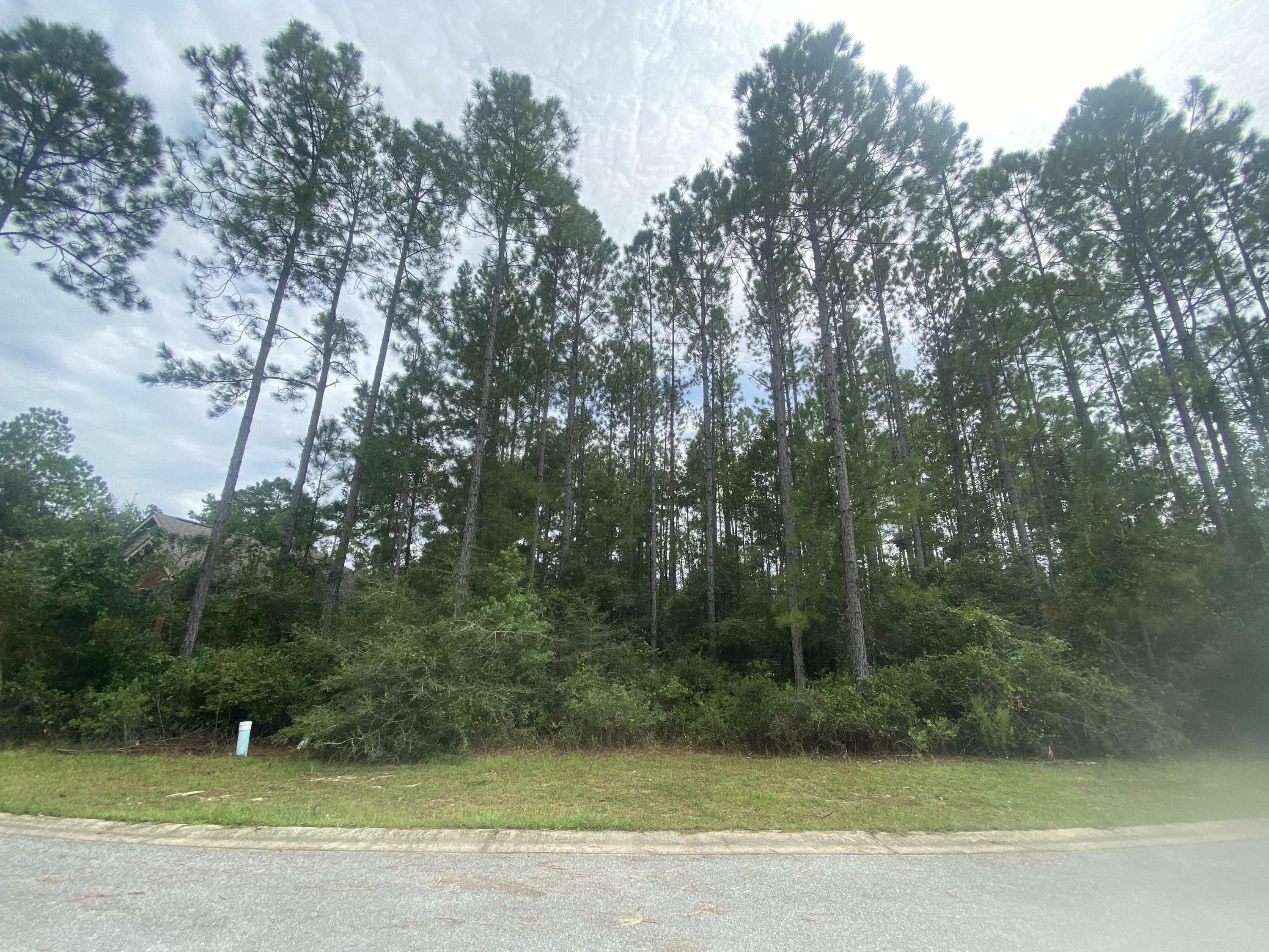 Property Photo:  Lot 169 Sonata Street  FL 32439 