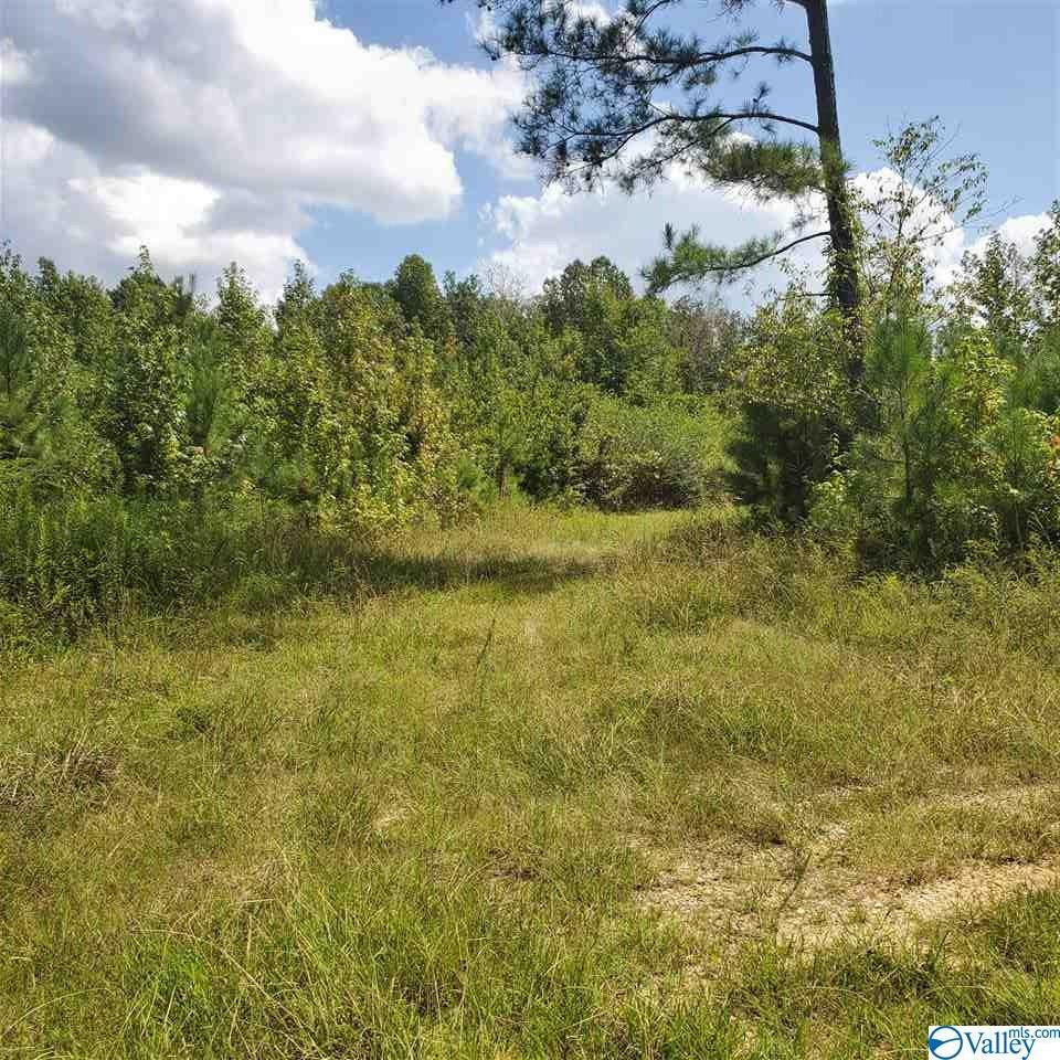 Property Photo:  0 County Road 225  AL 35960 