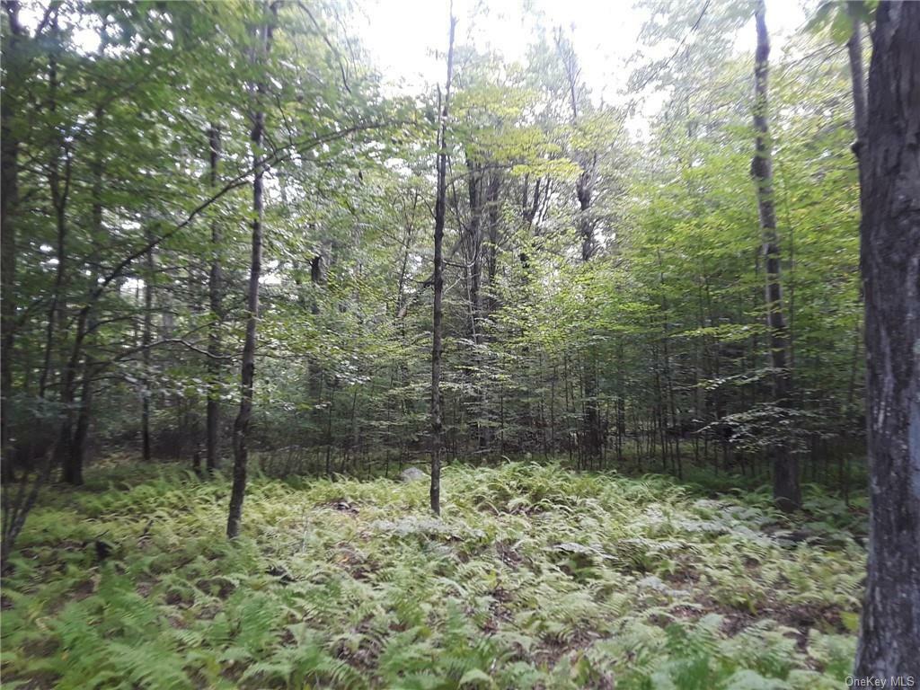 Property Photo:  Lot34 Smith Lane  NY 12765 