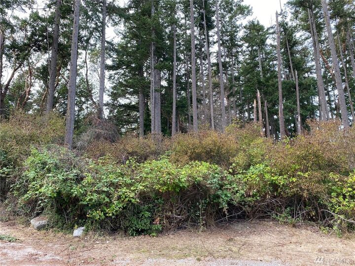 Property Photo: 0 7th St NW WA 98239