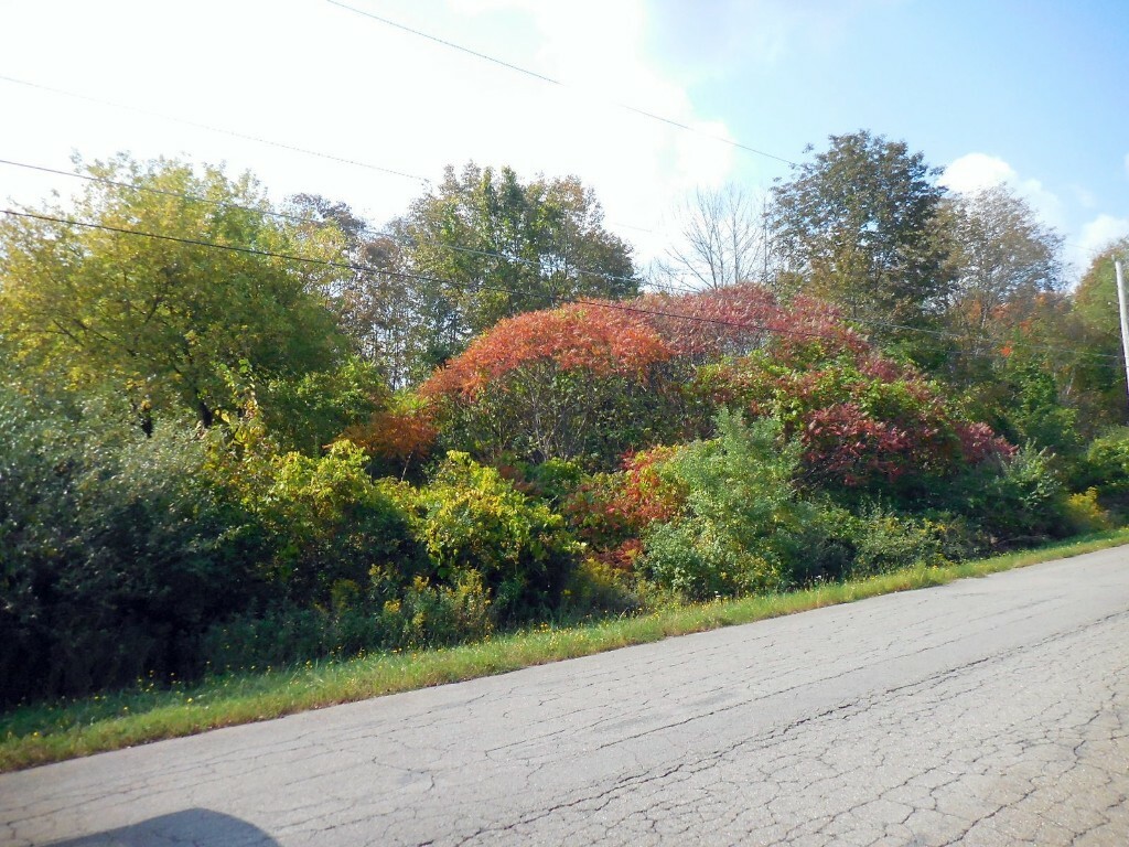 Property Photo: 31 Overlook Drive NY 13795