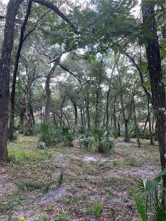 Property Photo:  Markham Woods  FL 32779 