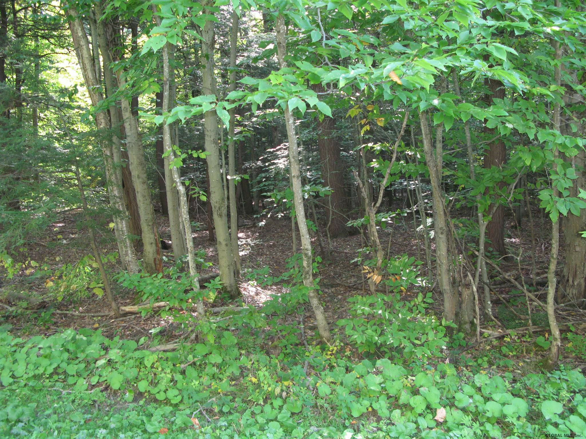 Property Photo:  00 Burtonville Road  NY 12072 