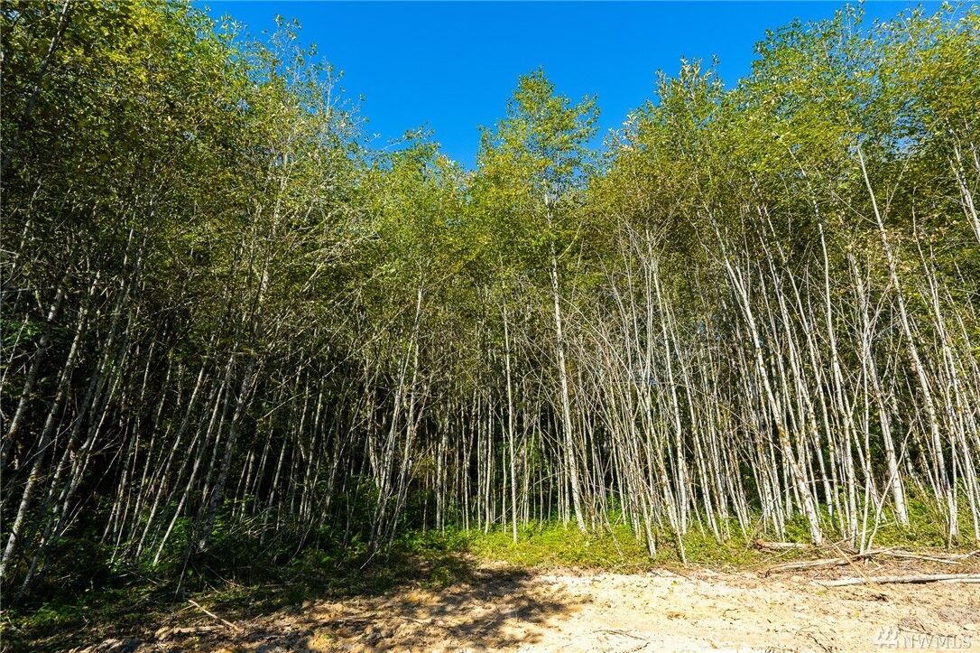 Property Photo: 360 2 Hewitt Rd WA 98532