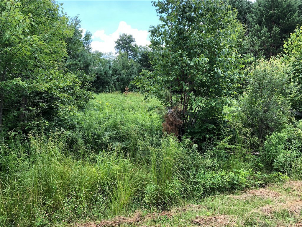 Property Photo: Lot 0 Reichel Road WI 54819