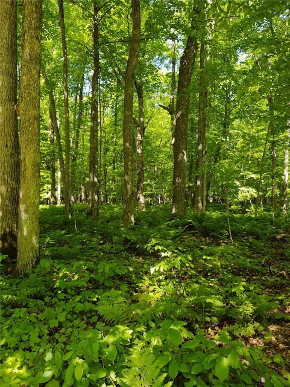 Property Photo: Lot 5 Methil Drive WI 54817