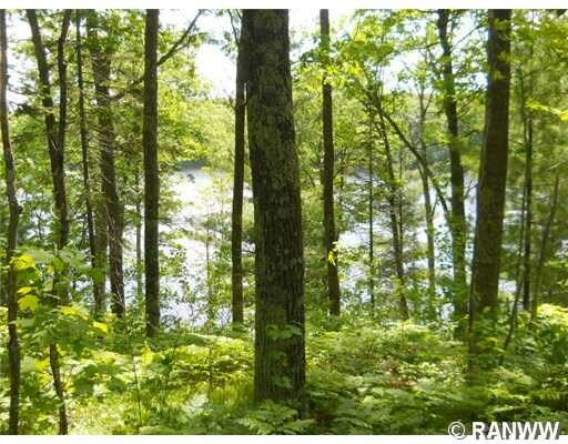 Property Photo: 0 Bag Waki Road WI 54828