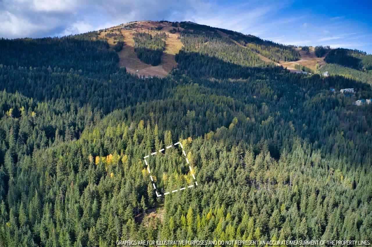 Property Photo:  Lt 9 Blk 2 Snowblaze Rec Tracts 58221.0209  WA 99021 