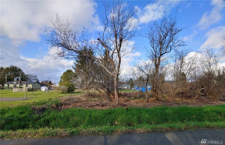 0 W Lindstrom St  Aberdeen WA 98520 photo