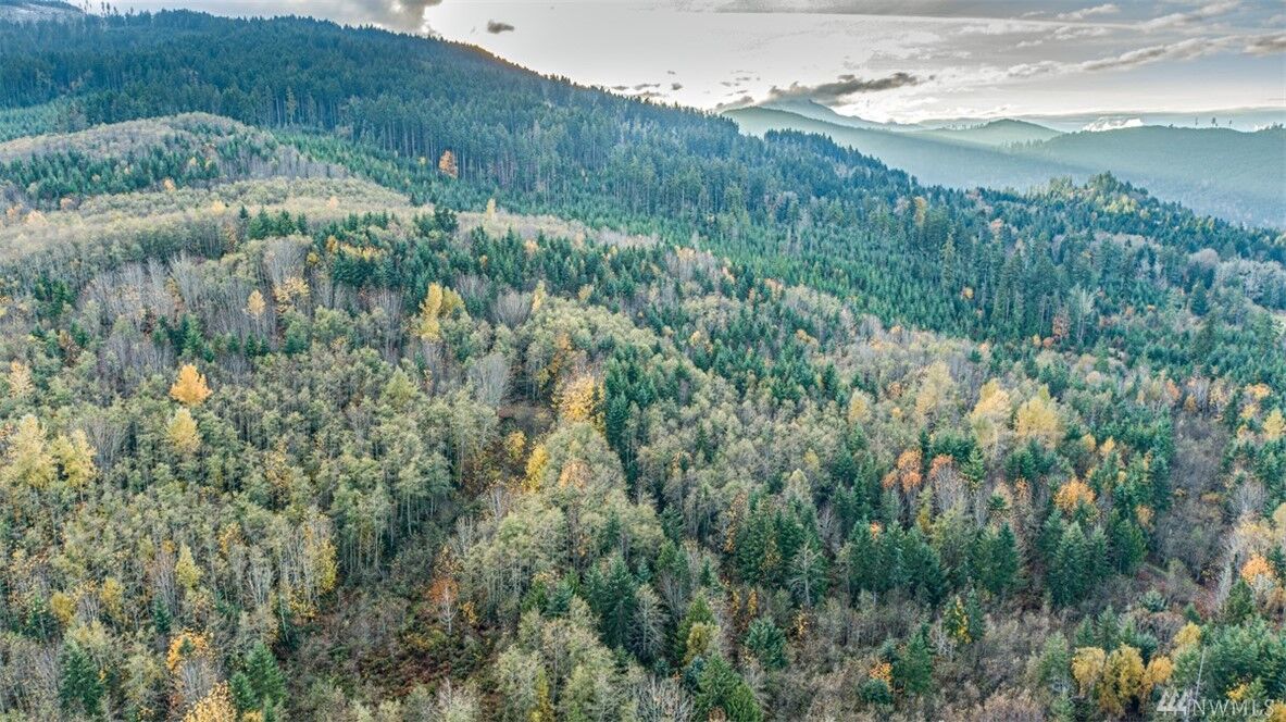 Property Photo: 9999 Diamond Vista WA 98363