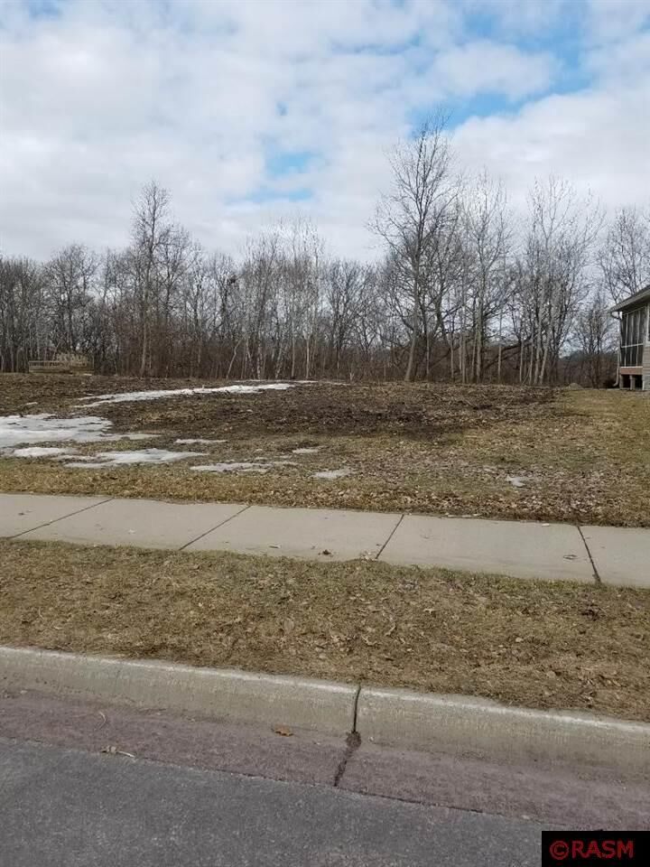 Property Photo:  43 Newcastle Court  MN 56003 