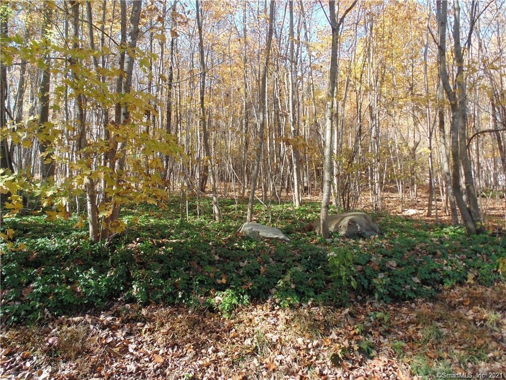 Property Photo:  Lot 6-9 Ashford Lake Drive  CT 06278 