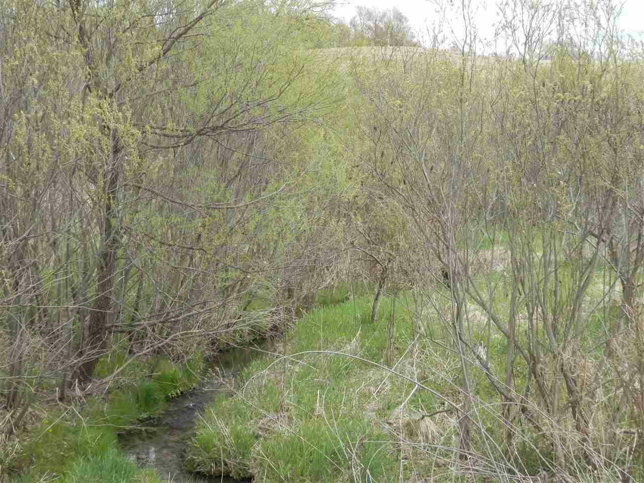 Property Photo:  Lot 2 Spring Brook  WI 54660 