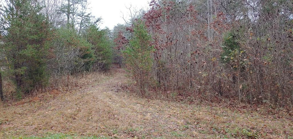 Property Photo:  310 Clayton Wooten Lane  TN 37322 