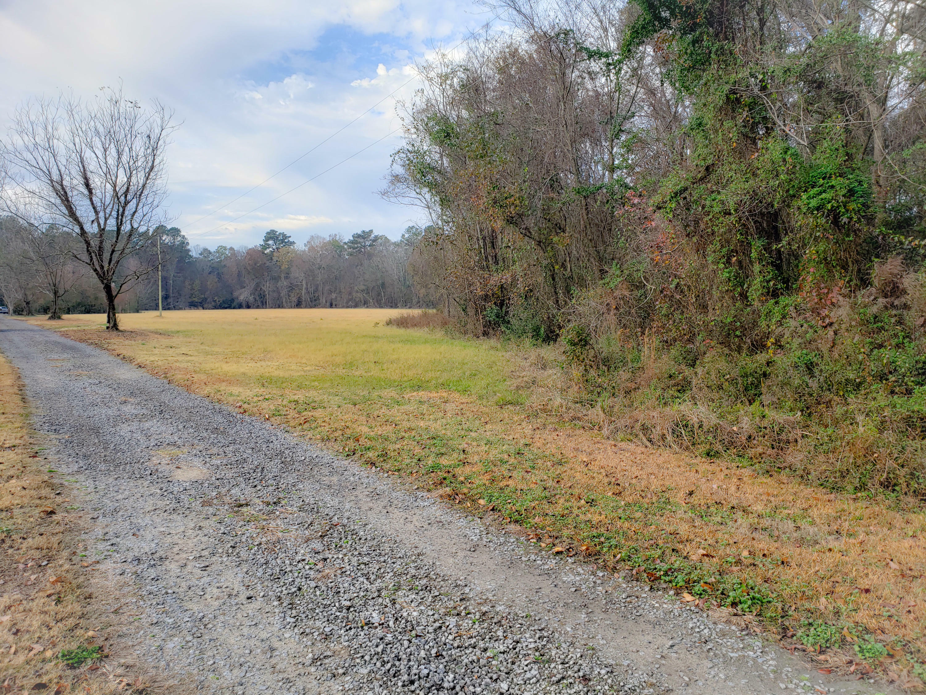 0 Long Plantation Road  Harleyville SC 29448 photo