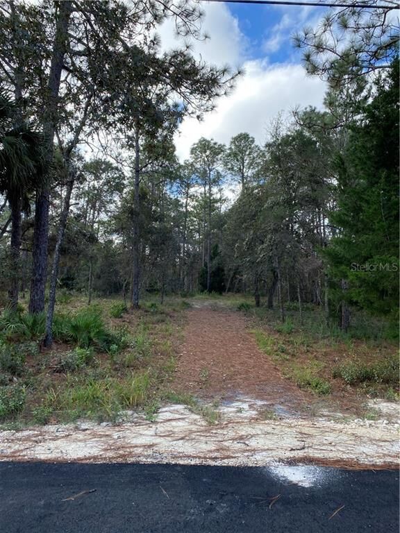 Property Photo:  9098 Michigan Avenue  FL 34613 