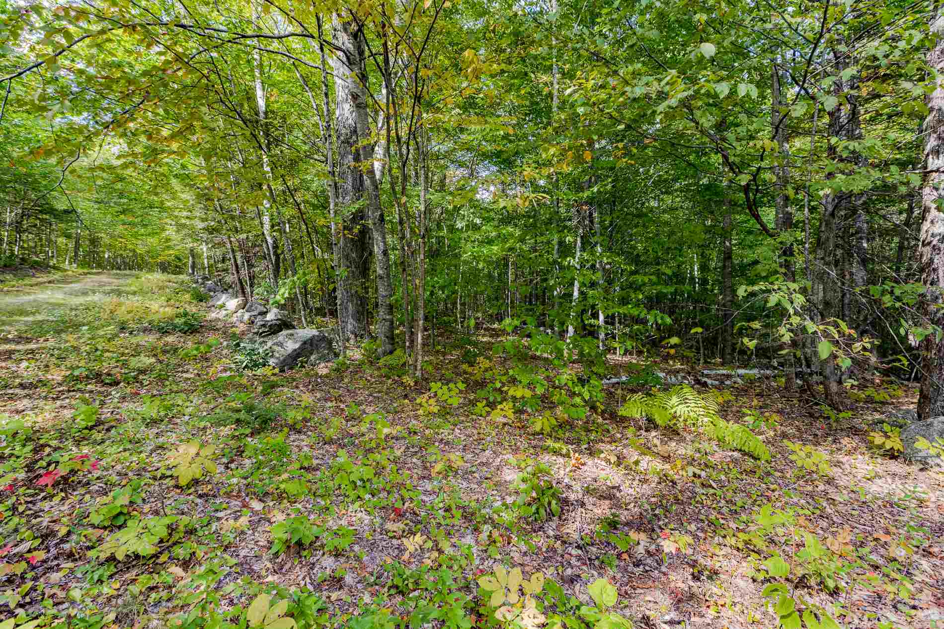 Property Photo:  Lot 7 North Wilmot Road  NH 03287 