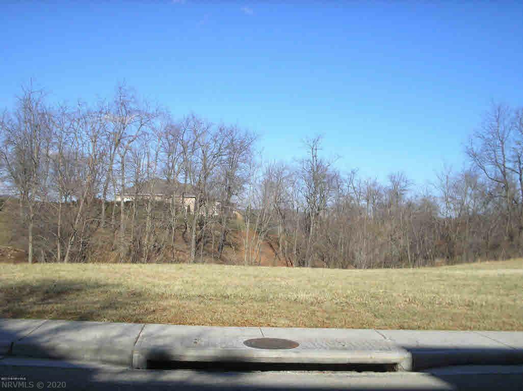 Property Photo:  8316 River Course Drive  VA 24141 