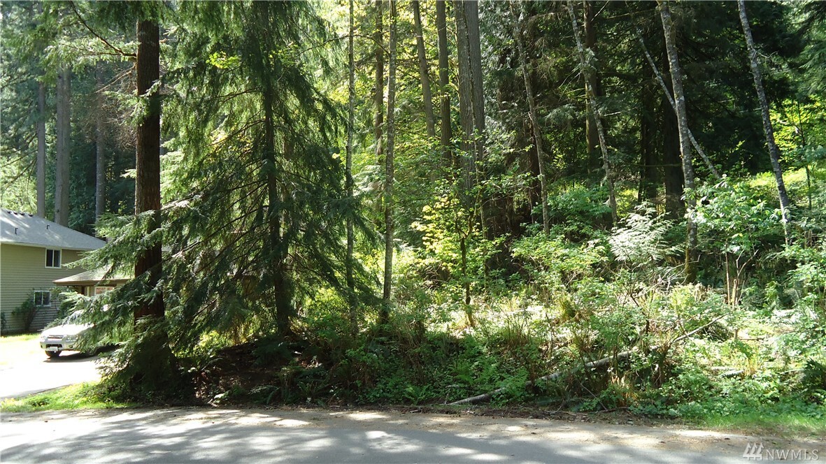 74 Lake Louise Dr  Bellingham WA 98229 photo