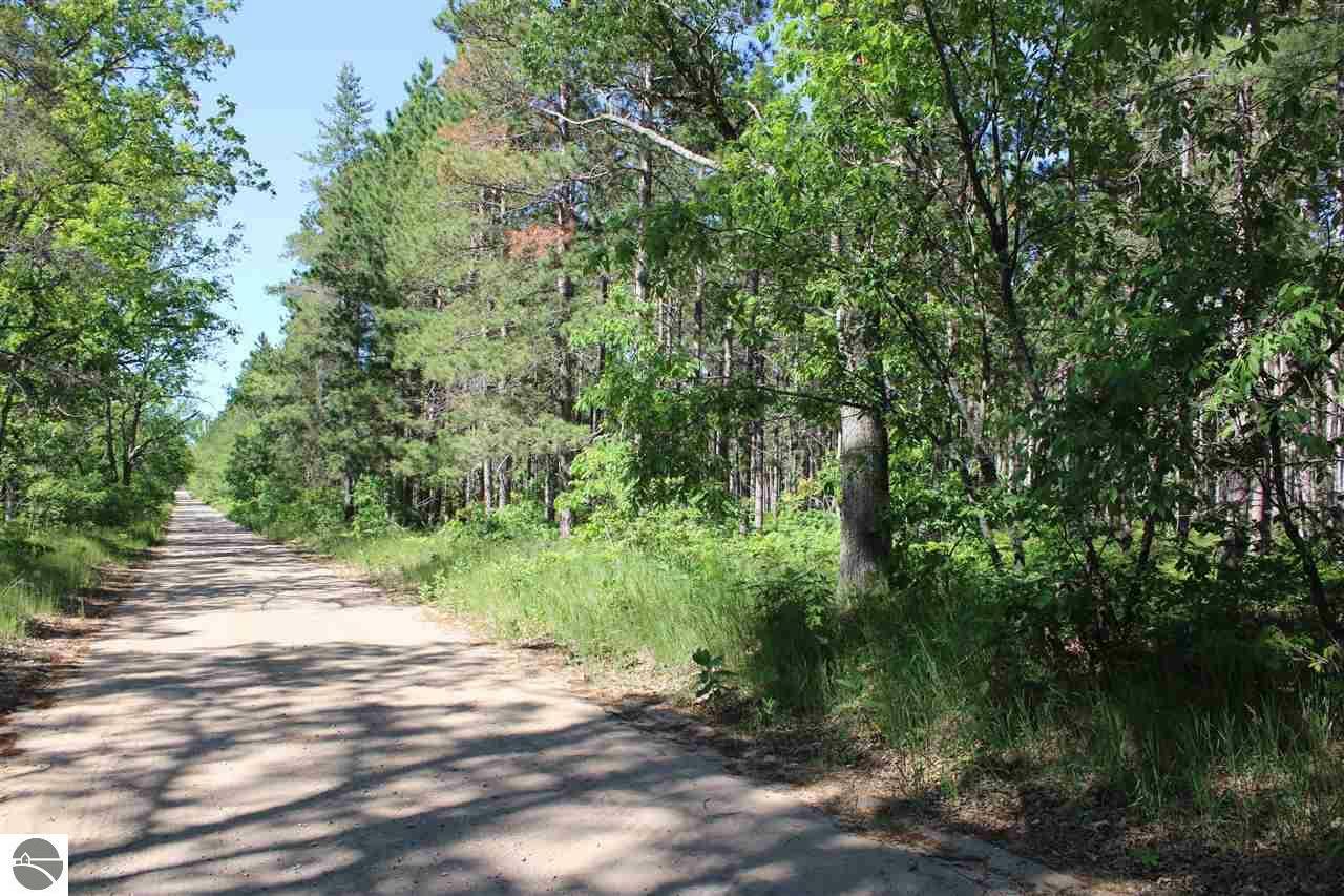 Property Photo:  On Hodge Road  MI 49649 