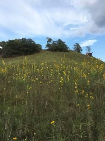Property Photo:  Cty 1560 And Hw 74  OK 73057 