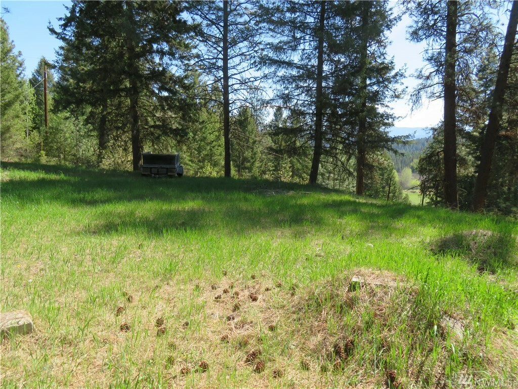 Property Photo:  Tbd Barrett Creek Rd  WA 99166 