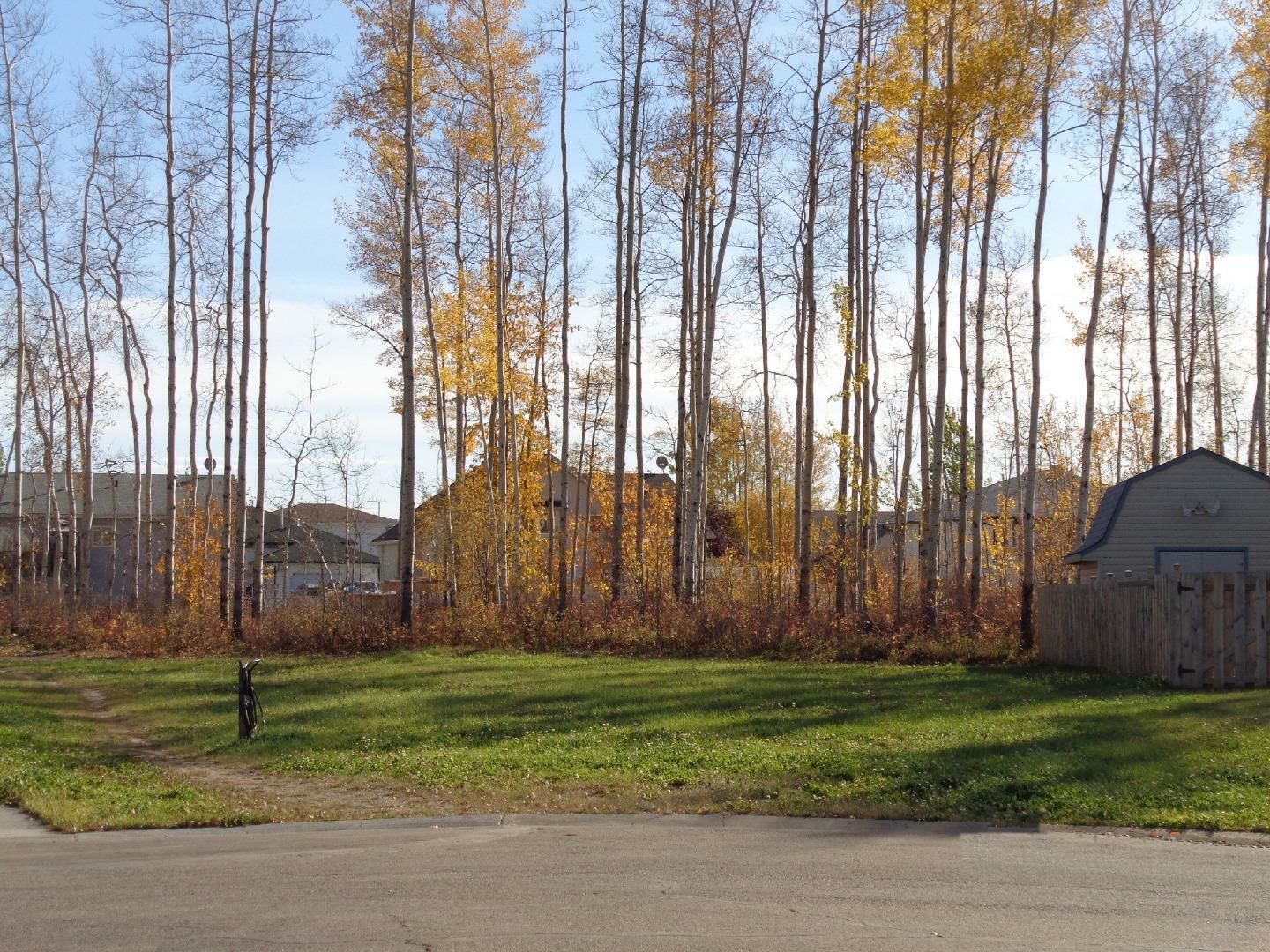 5 Birch Close  High Level AB T0H 1Z0 photo