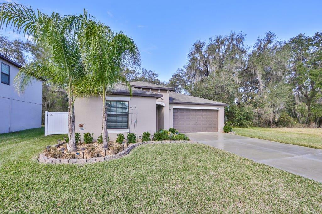 Property Photo:  3123 Moulden Hollow Drive  FL 33540 