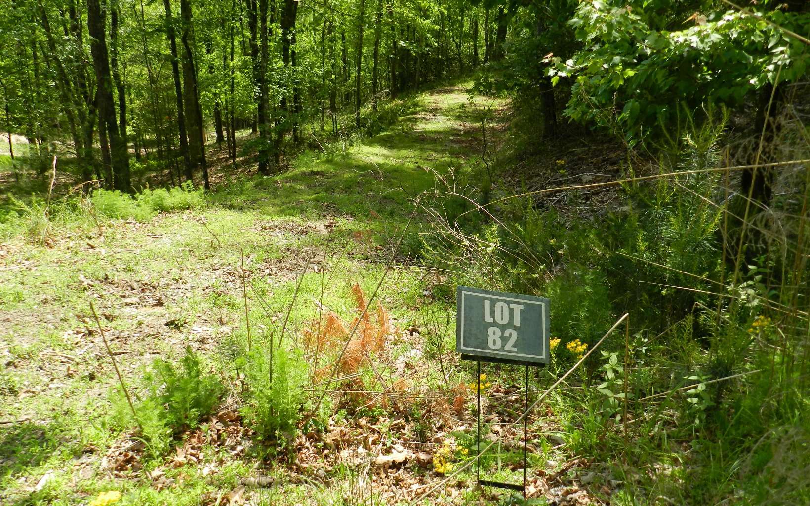 Property Photo:  L 82 Riverwalk On Toccoa  GA 30559 