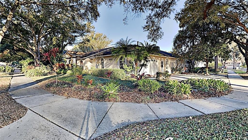 Property Photo: 9001 Cypress Trail FL 33777