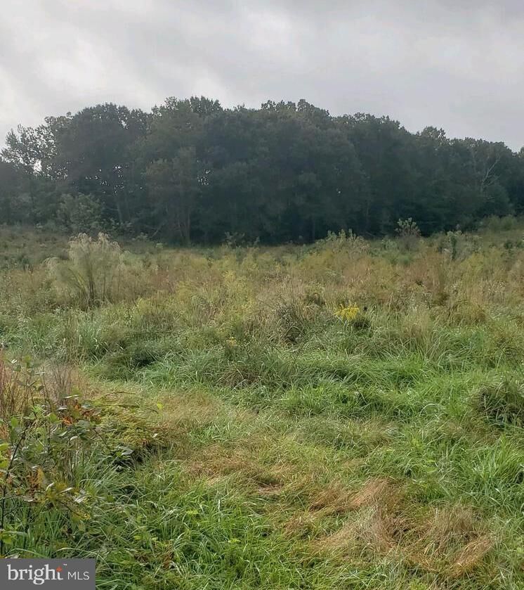 Property Photo:  15295 Beuchert Place  MD 20637 