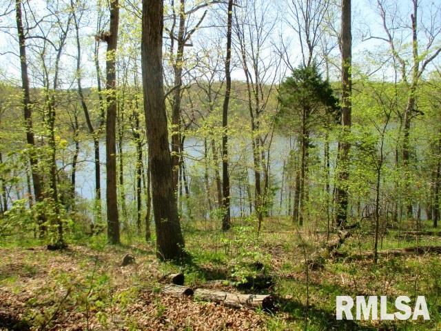 Property Photo: Lot 33 Raven IL 62939